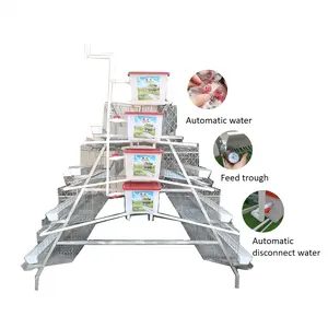 Cheapest chicken egg layers cage for Kenya Kenya 5000 chicken coop