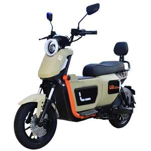 Vélo électrique 14 pouces, moteur 500W, batterie au plomb 48V, autonomie 50-70 km, vitesse 40-55 km/h - Product Image 1