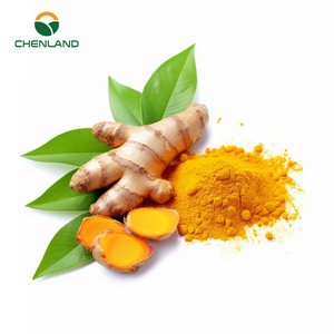 Extracto de Raíz de Cúrcuma en Polvo, 60% Curcumina, Probado por <span class=keywords><strong>HPLC</strong></span>, Alta Biodisponibilidad, CuminUP60, Suplemento Herbal, Empaquetado en Tambor - Product Image 2