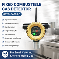 Détecteur de gaz combustible industriel et commercial CAATM GTYQ-CA228-D(N) Détecteur de fuite de GPL et de gaz naturel avec capteur catalytique