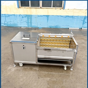 Hot Sale Fruit Cleaning Roller <b>Brush</b> Washer Machine with 304 Stainless Steel 220/380V Easy to Operate - Product Image 6