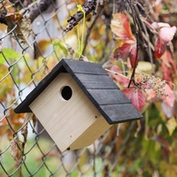 Kits nichoir en bois pour adultes