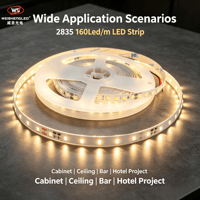 Bande LED flexible haute luminosité DC24V IP20 160 LED/m SMD2835, température de couleur 3000K-6000K, corps en cuivre, éclairage paysager