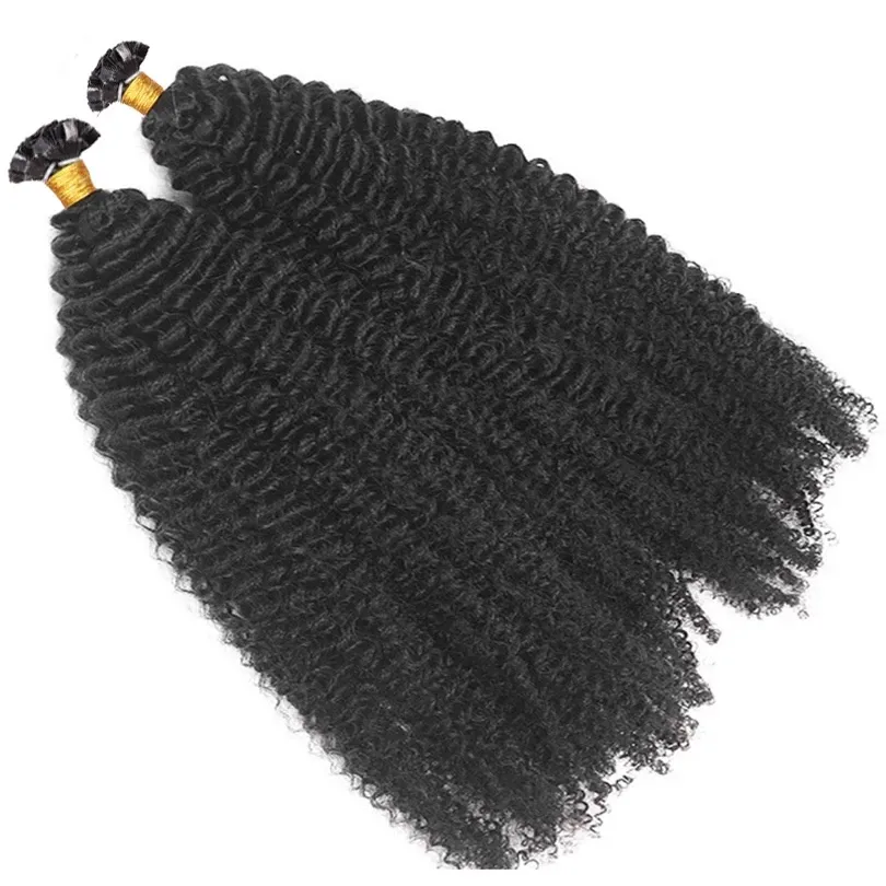 Afro Kinky Curly Flat Tip Human Hair Extensions Machine Made Malaysian Remy Hair 1g/Strand for black women
