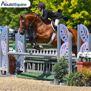 Training and Competition Use <strong>Aluminum</strong> Horse <strong>Show</strong> <strong>Jumps</strong> - Product Image 2