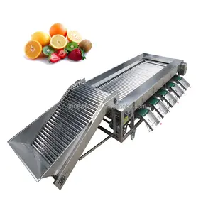 Автоматическая сортировочная машина для фруктов и цитрусовых авокадо