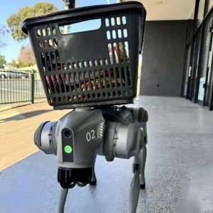 Robot chien patte avion Robot chien avec <span class=keywords><strong>patrouille</strong></span> canine avion chien Robot <span class=keywords><strong>patrouille</strong></span> <span class=keywords><strong>Figurine</strong></span> - Product Image 3