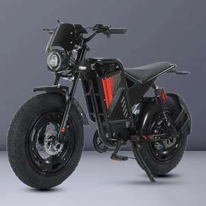 Bicicletta Elettrica da 20 Pollici con Motore Brushless, Pneumatici Larghi, Fuoristrada, Stile Retrò, Batteria al Litio, 1000W, per Ciclismo Montano e da Corsa, Capacità 150kg - Product Image 1