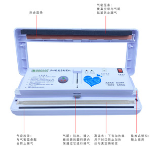 เครื่องซีลสูญญากาศใบไม้สีเขียว รุ่น DZ-2802SD เครื่องบรรจุภัณฑ์พลาสติกไฟฟ้าสำหรับสินค้าแห้งและหน้ากากอนามัย - Product Image 4