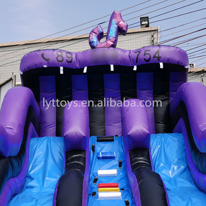 New Design Jumping Bouncer <strong>Slide</strong> with Pool Adult <strong>Inflatable</strong> Water <strong>Slide</strong> - Product Image 5