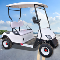 Voiturette de golf électrique 2 places, fabrication directe d'usine, OEM, buggy de golf personnalisé pour parcours de golf, complexe hôtelier, hôtel, communauté, transport personnel