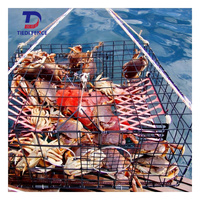 Pièges à crabes en treillis métallique
