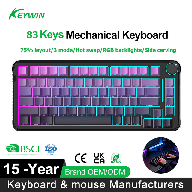 Factory Customize Tri Mode Wireless Hot Swap Mechanical 75% Keyboard RGB Wireless BT Gasket Side Engraved Keycap Gaming Keyboard