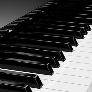 Terence S71 88 touches <span class=keywords><strong>famille</strong></span> <span class=keywords><strong>Piano</strong></span> droit acoustique Mode silencieux enfants adultes trousse à outils de pratique incluse - Product Image 4