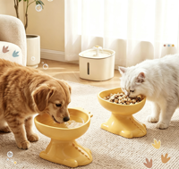 Bol surélevé pour chat, design Dragon, protection du cou, grande ouverture, pour aliments et eau, pour chats et chiens, vente en gros