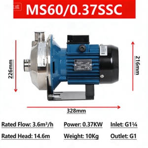 Bomba Centrífuga Horizontal de Una Etapa MS60/0.37 de Acero Inoxidable Ligero y Motor para Sistemas de Suministro de Agua y Refrigeración 220V/380V - Product Image 1