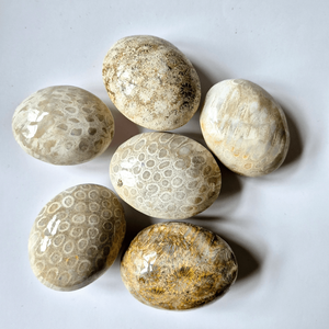 Venta al por mayor de piedras de coral natural pulidas, piedras de jade para la palma de la mano, piedras curativas, piedras de cuarzo para la decoración del hogar y la oficina, regalo para el Día de Acción de Gracias - Product Image 4
