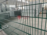 Valla de malla de alambre doble de alta calidad y precio barato 868 2D