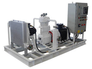 Compresor de cloruro de metilo pequeño de frecuencia variable sin aceite BT4, tipo refrigerado por aire con correa - Product Image 3