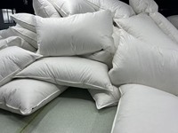 Coussin décoratif personnalisé en microfibre blanche à bas prix, insert d'oreiller 45x45cm (18x18 pouces) pour canapé, maison, hôtel