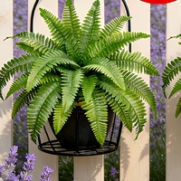 Panier suspendu en fausse plante de fougère de Boston artificielle, 2 pièces, plantes vertes artificielles dans des paniers en métal noir pour la décoration de la véranda, du patio et du jardin