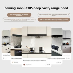 <span class=keywords><strong>Hotte</strong></span> aspirante à aspiration supérieure UT305 30m³/min pour cuisinière à gaz, cuisine domestique, forte puissance d'aspiration, technologie Inverter, acier inoxydable 304 - Product Image 4
