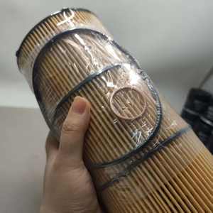 En İyi Yeni Otomotiv Parçası E510HO7 D129 E500HD129 E445KP D314-2 dizel Yakıt Filtresi Durumu Yepyeni - Product Image 5