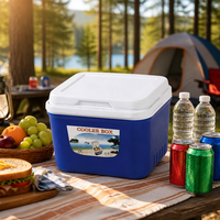 Glacière isotherme portable de 13 L au design moderne, prix usine, pour garder les glaces et les crèmes au frais
