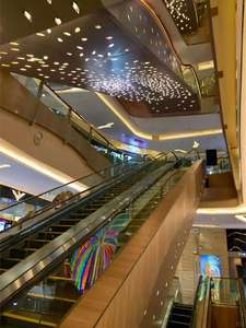 Competitive <b>Escalator</b> Price/<b>Escalator</b> Cost Indoor and Outdoor CHINA OTIS - Product Image 6
