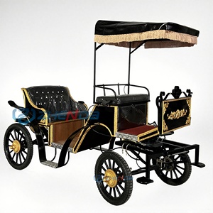 Carruaje Eléctrico Negro de Turismo con Detalles en Dorado y Toldo para Transporte de Turistas - Product Image 2