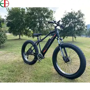 성인용 48v 대용량 리튬 이온 배터리 전기 자전거