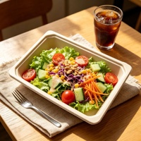 Assiette à collation biodégradable en bagasse de canne à sucre, légère, petite, rectangulaire, jetable, compostable, emballage alimentaire