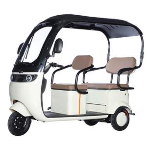 Kanopi <span class=keywords><strong>Trike</strong></span> kargo listrik 1000W, daya Motor 1000W, kapasitas muatan 400kg, bahan baja 60v, sepeda roda tiga penumpang - Product Image 3