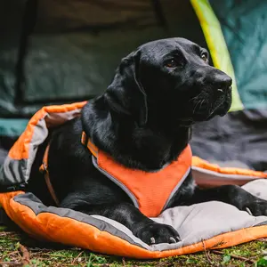 Cama de cachorro fácil de transporte, cama para animais de estimação para casa e aventura uso multi-cenário