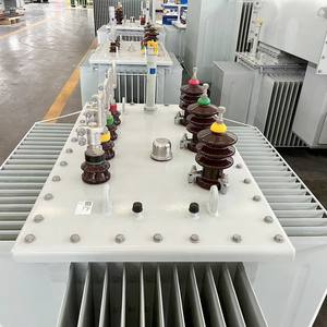China Fuente de alimentación de alto voltaje Transformador eléctrico 100kva Transformador de distribución sumergido en aceite Precio - Product Image 3