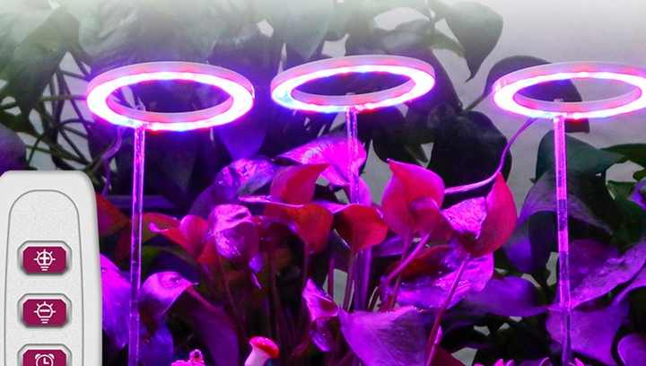 Full Spectrum LED Grow Lights - Efficient Plant Growth