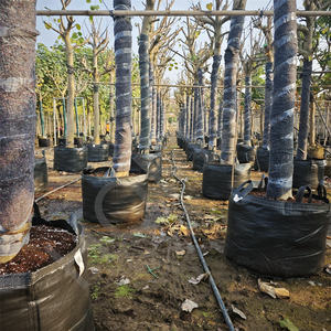 5/10/15/20/35/50/<span class=keywords><strong>100</strong></span> gallons <span class=keywords><strong>Pot</strong></span> <span class=keywords><strong>de</strong></span> <span class=keywords><strong>fleur</strong></span> et sacs <span class=keywords><strong>de</strong></span> plantation d'arbres PP tissu planteur sacs <span class=keywords><strong>de</strong></span> culture pour l'ensemencement pour l'utilisation <span class=keywords><strong>de</strong></span> jardin - Product Image 4