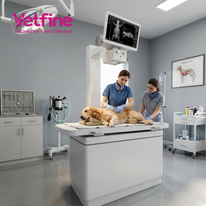 Equipo de Diagnóstico Veterinario, Máquina de Rayos X Digital para <span class=keywords><strong>Veterinaria</strong></span>, Mesa de Exploración <span class=keywords><strong>Veterinaria</strong></span> con IA, Detector de Rayos X de Panel Plano para Clínica <span class=keywords><strong>Veterinaria</strong></span>, Sistema <span class=keywords><strong>DR</strong></span>, Máquina <span class=keywords><strong>DR</strong></span> - Product Image 1