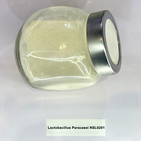 Poudre de Lactobacillus Paracasei, matière première probiotique, 100 milliards d'UFC par gramme, pour la formulation de produits