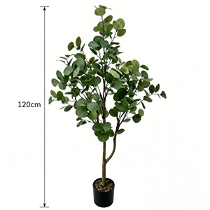 Ramas de eucalipto preservadas de aspecto aromático con hojas plateadas en forma de moneda para decoración de despedidas de soltera y baños de spa - Product Image 2