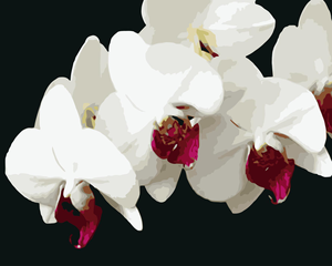 Fleur bricolage peinture à l'huile par numéro <span class=keywords><strong>dessin</strong></span> toile sans cadre peinture par numéros artisanat Kits peintures décor à la maison cadeaux ensemble adultes - Product Image 3