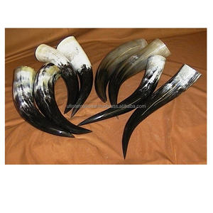 Reasonable Price Drinking <b>Horn</b> with Customized Size Bast Natural <b>Horn</b> Color <b>Buffalo</b> <b>Horn</b> Hand Made Polish Low Price - Product Image 3