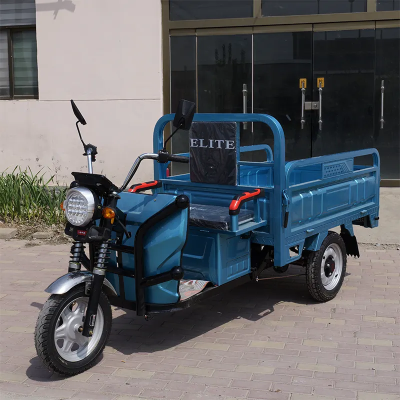 Cina Farm uso energia verde batteria Open Cargo triciclo elettrico Cargo triciclo elettrico Scooter 3 ruote moto elettrica