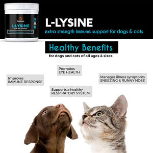 Suplemento en polvo de L-lisina para gatos para resfriados, alivio de alergias, gatos y gatitos de todas las edades en stock - Product Image 6