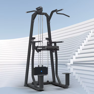 Máquina de fuerza comercial para gimnasio: Estación de dominadas y dipes de barra simple o doble para culturismo - Product Image 4