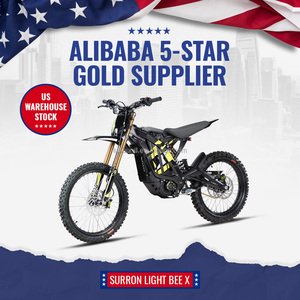 Motocicleta Eléctrica Todoterreno Ligera 2026 Light Bee X 60V 40Ah 8000W, Precio al por Mayor - Product Image 4