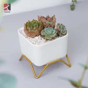 HINWELL commercio all'ingrosso 2020 desktop di casa decorazione ceramica macetas piccolo fiore vasi per piante succulente con supporto in metallo