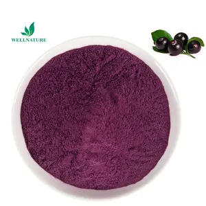 High Quality Natural Soluble Brazilian Acai Berry Extract Acai Berry Fruit Extract Powder