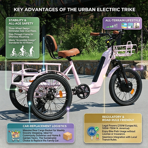 Tricycle Électrique Adulte à Trois Roues avec Panier Avant, Vélo Cargo Électrique 500W Durable <span class=keywords><strong>pour</strong></span> le Transport Urbain et les Courses Familiales - Vente en Gros - Product Image 2