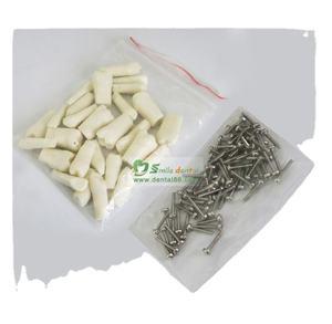 نموذج دراسة الأسنان/الأسنان الدائمة ذو جذور مستقيمة - Product Image 2